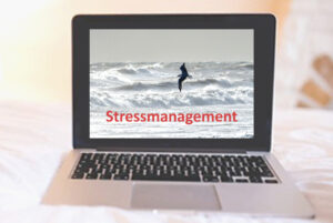 Bild Online Seminar Stressmanagement