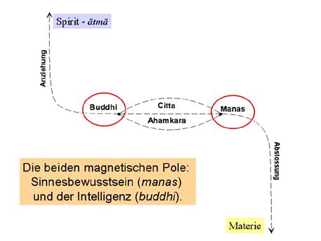 Grafik Polarisierung Buddhi und Manas