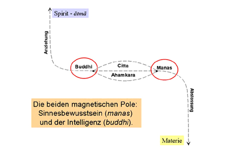 Grafik von Polarisierung Buddhi - Manas