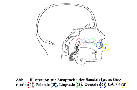 Grafik Orte der Sanskrit Aussprache im Kopf